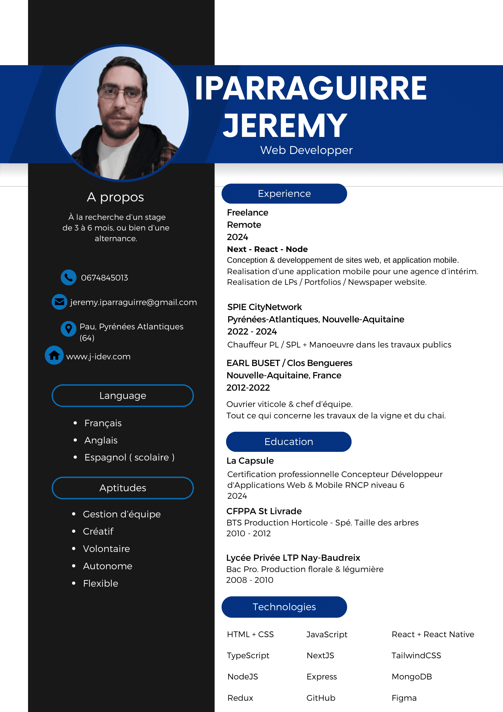 mon CV en français